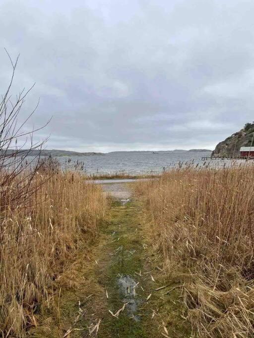 Ny Laegenhet Pa Markplan Med Havsutsikt 斯特伦斯塔德 外观 照片